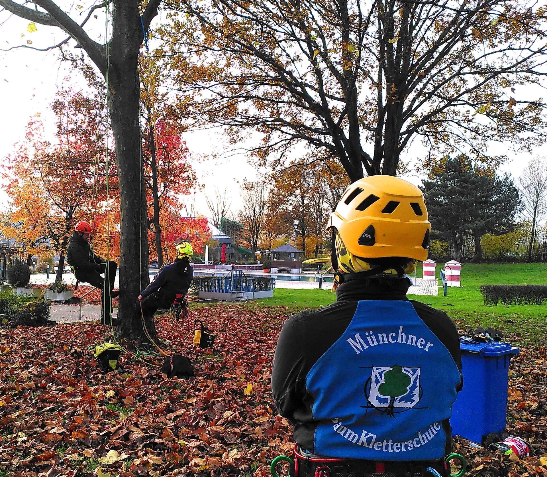 Baumkletterkurse - MS Baumpflege Dülmen