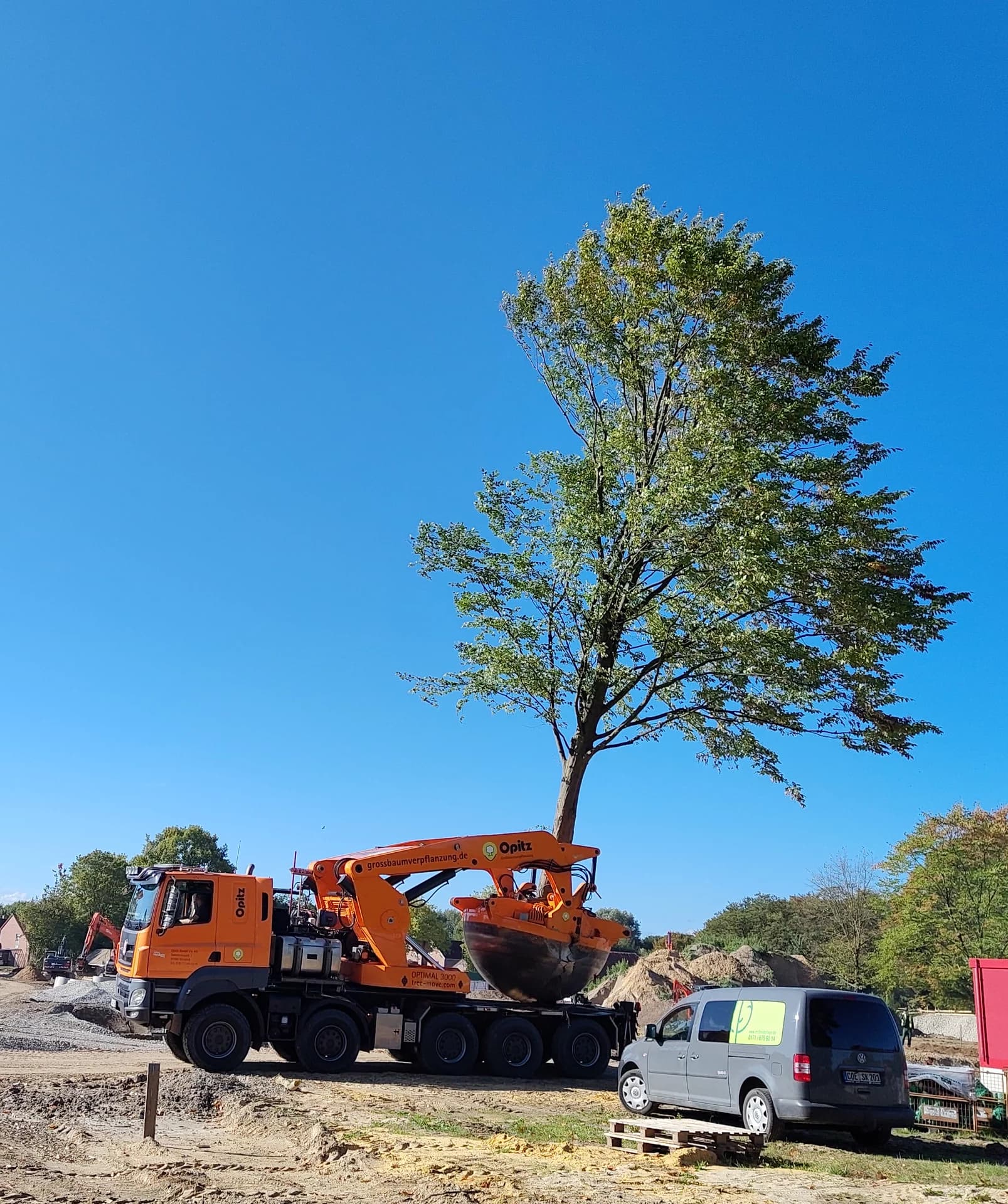 Großbaumverpflanzung - MS Baumpflege Dülmen