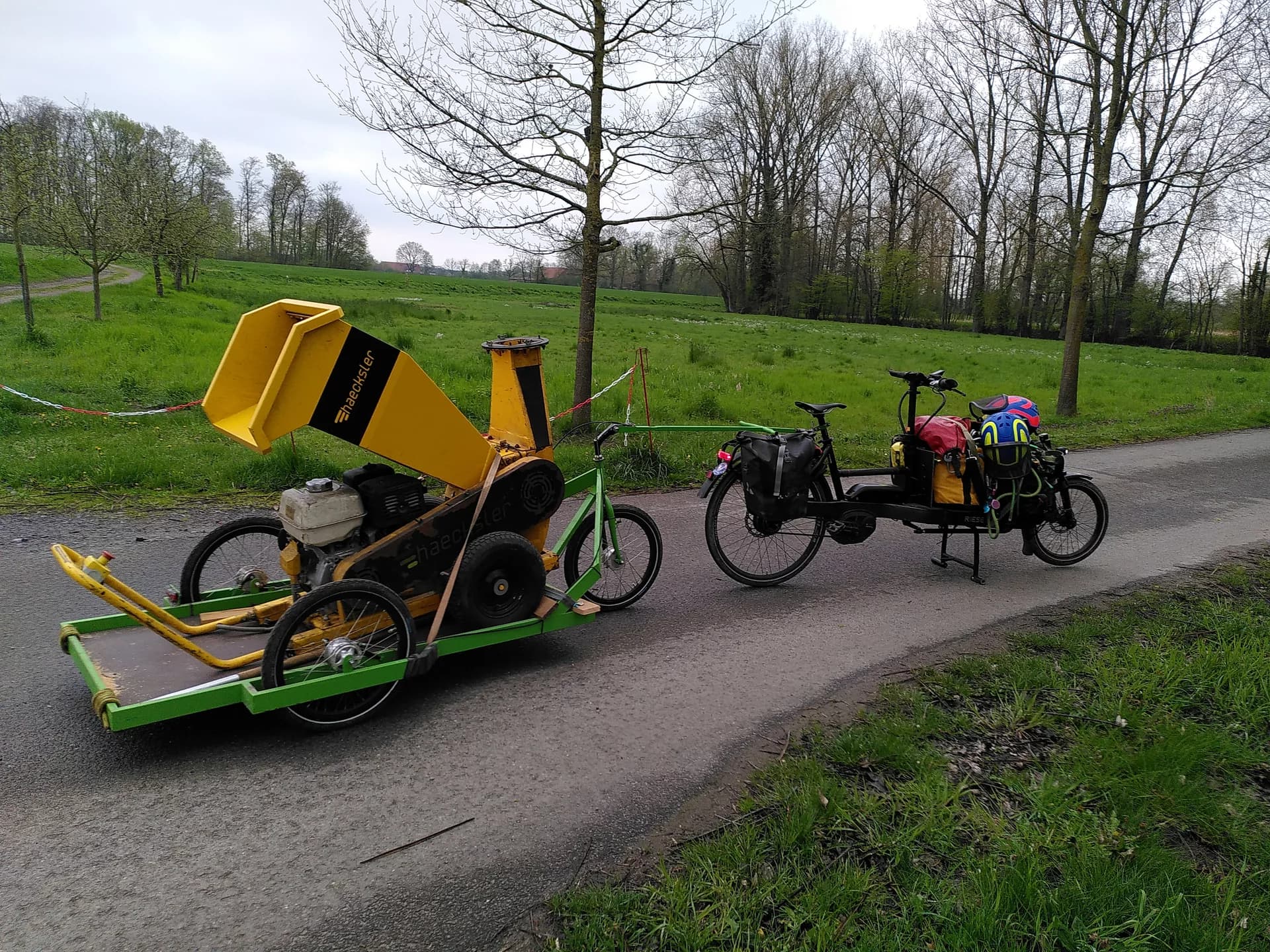 Professionelle Baumpflege in Dülmen