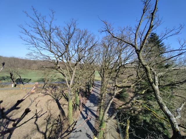 Professionelle Baumpflege Ausrüstung